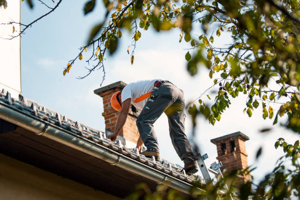 Best Residential Roof Replacement  in Madisonville, KY
