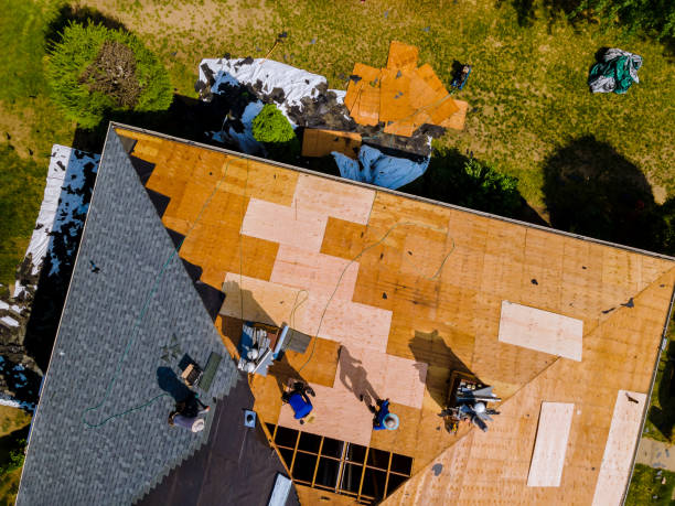 Best Metal Roofing Contractor  in Madisonville, KY