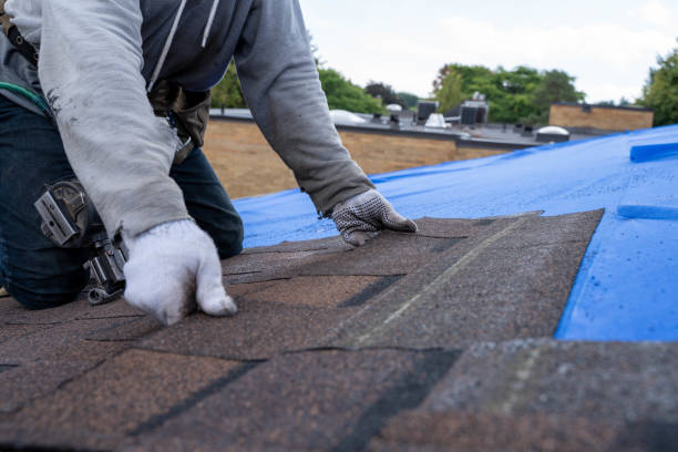 Best Roof Leak Repair  in Madisonville, KY